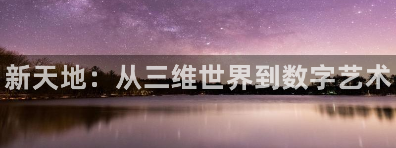 大满贯棋牌网址：新天地：从三维世界到数字艺术