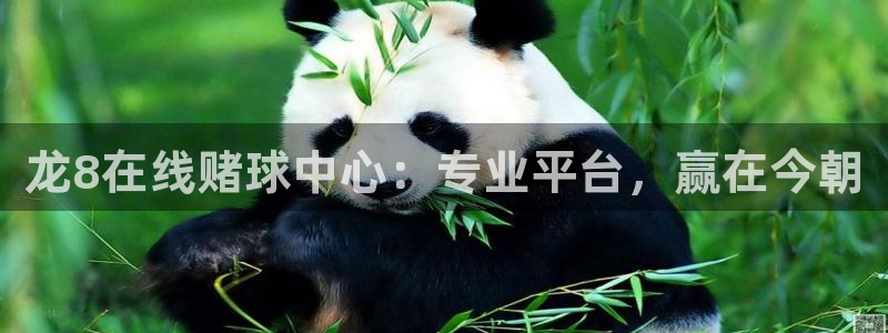 pg大满贯平台官网：龙8在线赌球中心：专业平台，赢在今朝