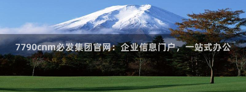大满贯注册登录入口：7790cnm必发集团官网：企业信息门户，一站式办公