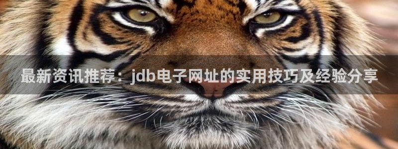 大满贯下载：最新资讯推荐：jdb电子网址的实用技巧及经验分享