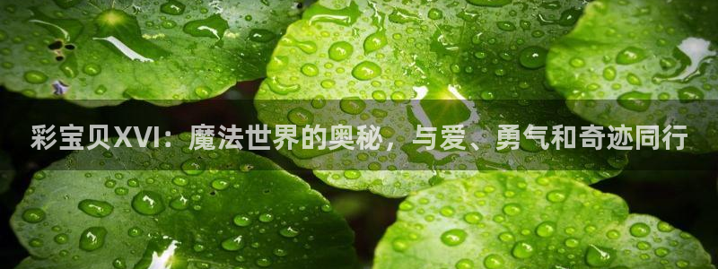 大满贯国际app登录入口官网：彩宝贝XVI：魔法世界的奥秘，与爱、勇气和奇迹同行