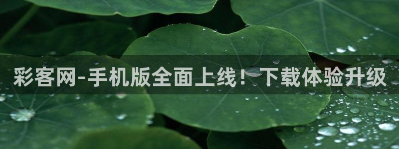 pg大满贯平台官网：彩客网-手机版全面上线！下载体验升级